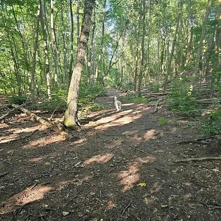 Tranquil Lakeside Retreat In Ry-by Traum Σπίτι διακοπών *