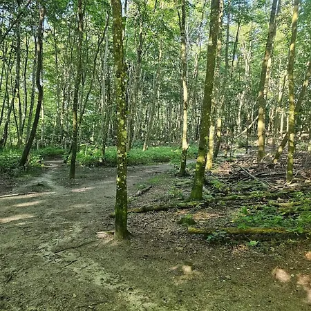 Tranquil Lakeside Retreat In Ry-by Traum Σπίτι διακοπών *